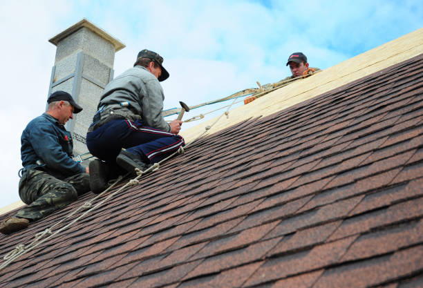 Quick and Trustworthy Emergency Roof Repair Services in Farmington, NM